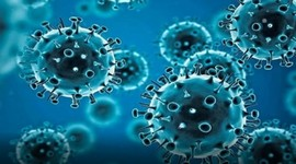 #Covid19 #Influenza #PublicHealth #FungalSpores #EnvironmentalHealth #ASM2025 #VirusPrediction #AsthmaCare #HealthResearch