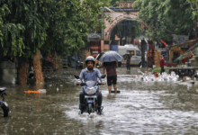 Delhi-NCR