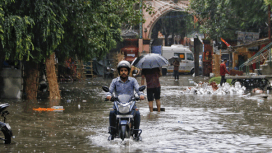 Delhi-NCR