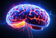 brain-eating amoebic infection