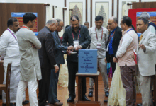 Vice-Presidential elections
