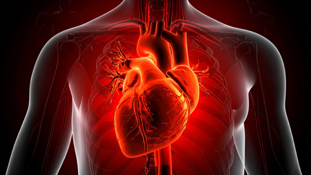 Heart diseases