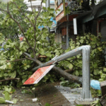 Typhoon Bualoi