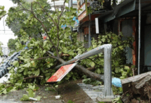 Typhoon Bualoi