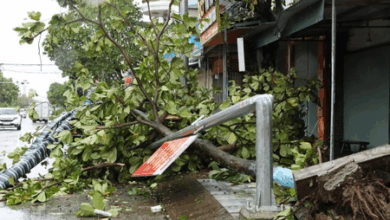 Typhoon Bualoi
