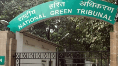 textile waste crisis