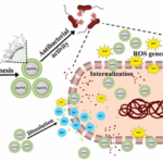 fight antibiotic resistance