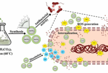 fight antibiotic resistance