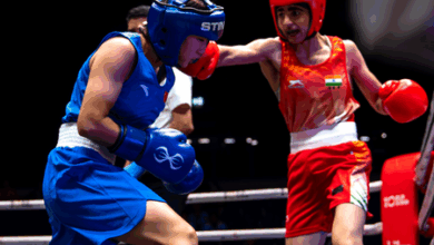 World Boxing Cup