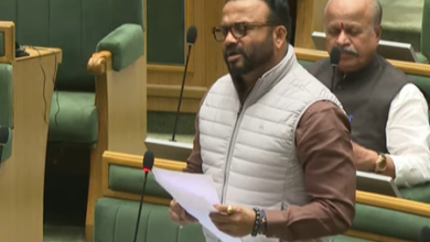 UMED Malls Women SHGs