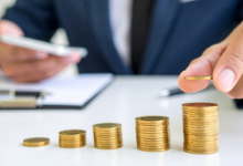 India GDP growth Domestic consumption