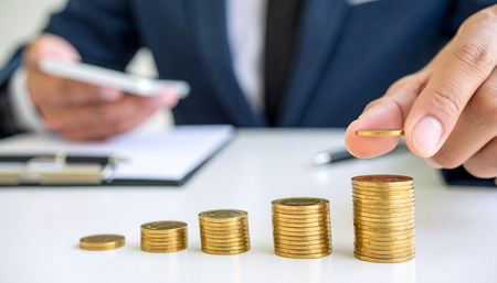 India GDP growth Domestic consumption