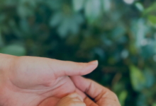 Katrina Kaif–Vicky Kaushal