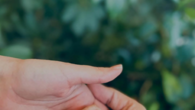 Katrina Kaif–Vicky Kaushal