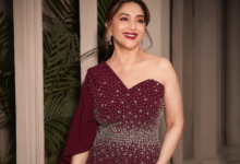 Aamir Khan, Madhuri Dixit