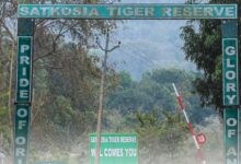 Satkosia Tiger Reserve