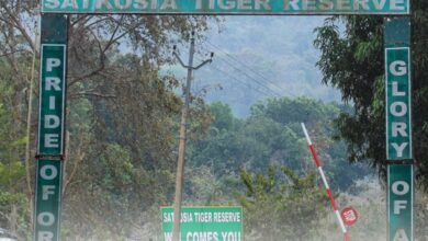 Satkosia Tiger Reserve